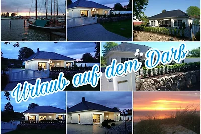 Haus Möwe