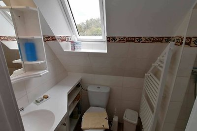 Vakantieappartement Gezinsvakantie Westerland