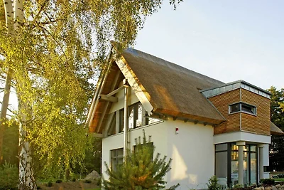 Haus 15