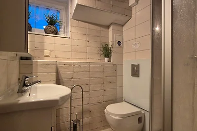 Fewo Salamander Im EG und Souterrain