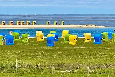 RDH-2.09, 4 Pers., ca. 55 qm