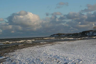 FW Möwennest