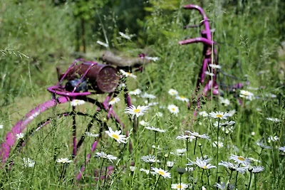 Fewo Wiesenhof bis 5 Personen
