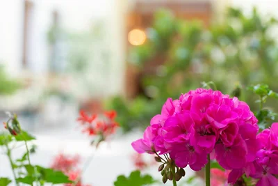 Apartamento Vacaciones familiares Wien