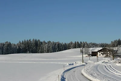 Wiesenblick