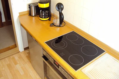 Ferienwohnung Ringberg 55m²