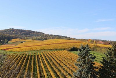 Vakantieappartement Gezinsvakantie Lehrensteinsfeld