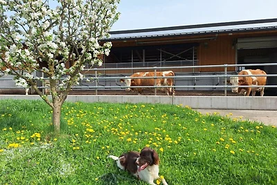 Vakantieappartement Gezinsvakantie Eisenberg