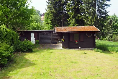 Vakantieappartement Gezinsvakantie Clausthal-Zellerfeld