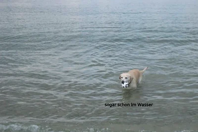 Julchen, Erholung in 35 m vom Strand mit...