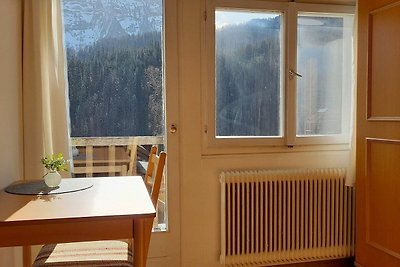 Vakantieappartement Gezinsvakantie Bizau