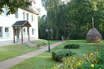 Hotel Cultuur en bezienswaardigheden Vetschau