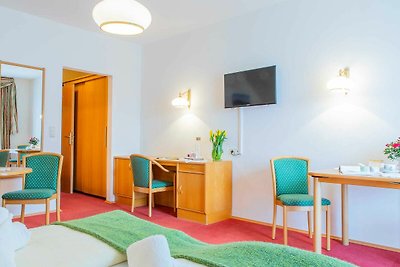 Hotel Cultuur en bezienswaardigheden Salzburg