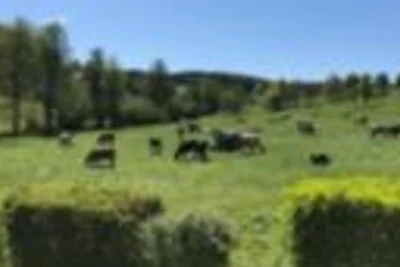 Vakantieappartement Gezinsvakantie Mossautal