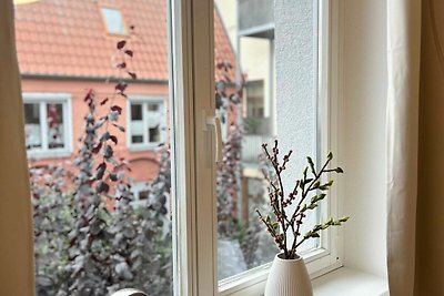 Bakgardssvit