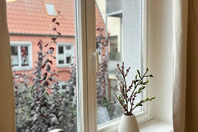 Bakgardssvit