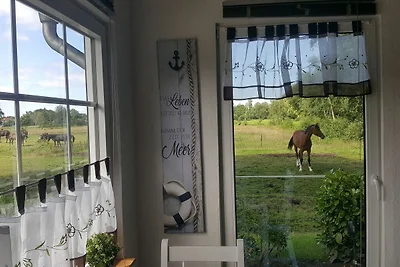 Ferienwohnung Kleine Emma