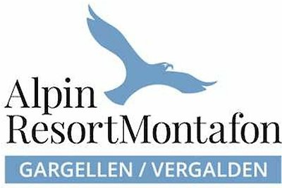 3.21 - Apartment Typ I im Alpin Resort Montaf...