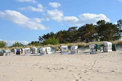 Vakantieappartement Gezinsvakantie Bansin