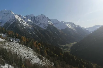 6. Gallruth