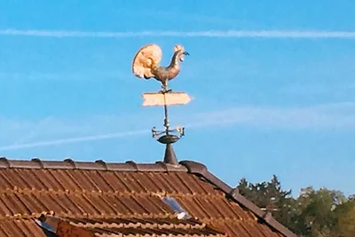 TAUBENSCHLAG