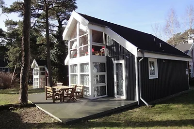 Ferienhaus Ostsee Strandhaus Seerobbe