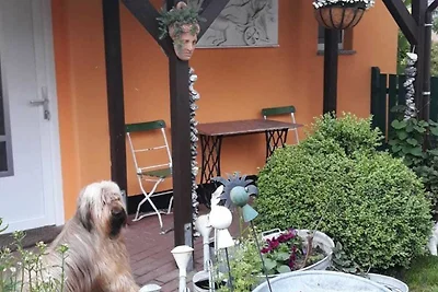 Casa vacanze Vacanza di relax Ribnitz-Damgarten