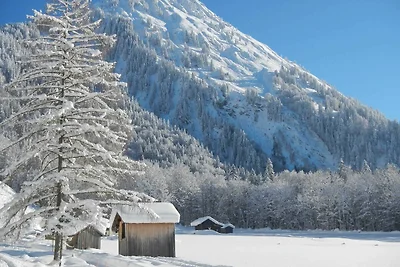 Vakantieappartement Gezinsvakantie Schoppernau