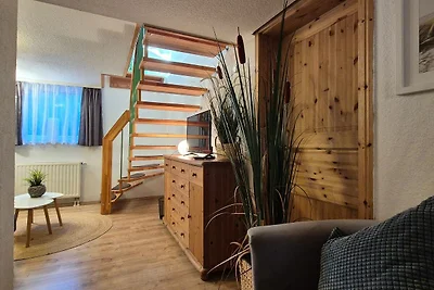 Fewo Salamander Im EG und Souterrain