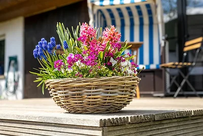 Vakantiehuis Ontspannende vakantie Lancken-Granitz