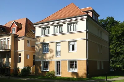 Bucheneck WE 13 SNR: 60