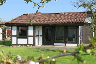 Albergo Cultura ed escursioni Hollern-Twielenfleth