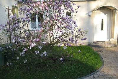 Casa vacanze Vacanza di relax Dresden vicinity