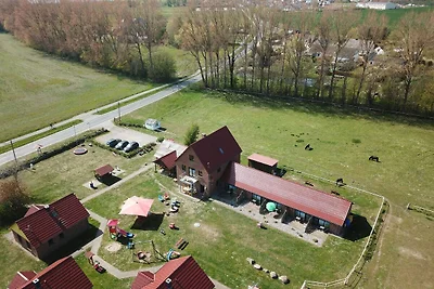 Hotel Cultuur en bezienswaardigheden Rerik & Umland