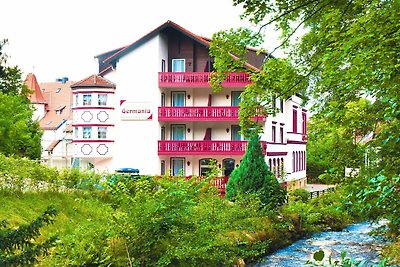 Hotel Cultuur en bezienswaardigheden Bad Harzburg