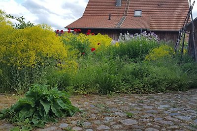 Zedernblockhaus ZBZ Anna