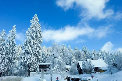 Appartamento Vacanza con famiglia Feldberg
