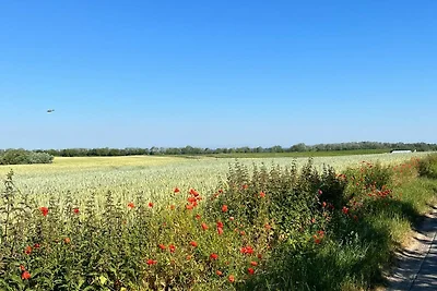 Vakantieappartement Gezinsvakantie Hohenkirchen