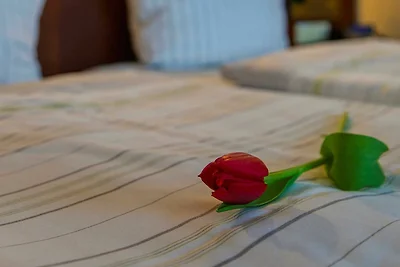 Standard Doppelzimmer