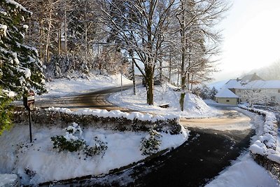 Vakantieappartement Gezinsvakantie Bad Peterstal-Griesbach