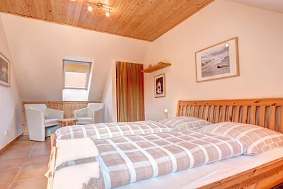 Albergo Cultura ed escursioni Butjadingen