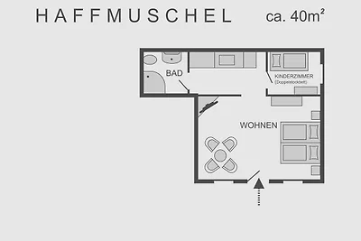 Haffmuschel (5)