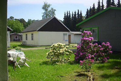 Hotel Culturas y visitas Trassenheide