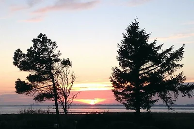 Haus Friesenresidenz/Silbergras Whg 08