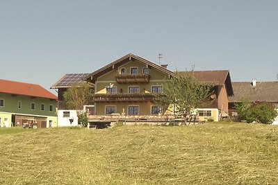 Vakantieappartement Gezinsvakantie Oberhofen am Irrsee