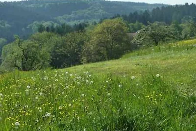 Vakantieappartement Gezinsvakantie Wald-Michelbach