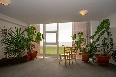 Jadebusen 047