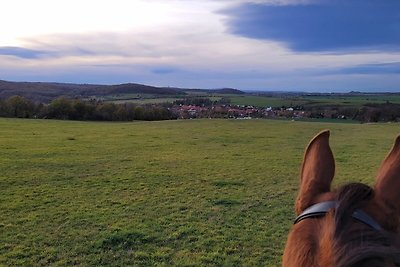 Vakantieappartement Gezinsvakantie Meisdorf