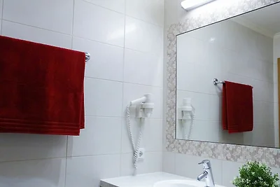 Vakantieappartement Gezinsvakantie Mayrhofen
