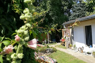 Casa vacanze Vacanza di relax Lichtenhagen